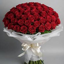 Букет 101 Красная роза Блэк Мэджик в Армавире