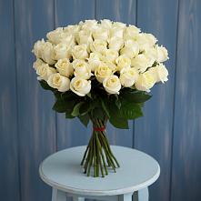 Букет 51 Белая роза Эдлесс Лав #REPLACE_PRED# Армавире