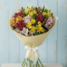 Букет цветов из:  Альстромерии #REPLACE_PRED# Армавире