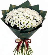 Букет цветов из:  Хризантемы в Армавире