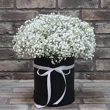 Цветочная композиция из Гипсофила в шляпной коробке в Армавире