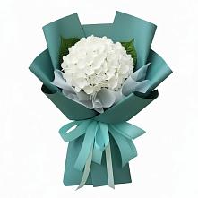 Букет цветов из:  Гортензия #REPLACE_PRED# Армавире